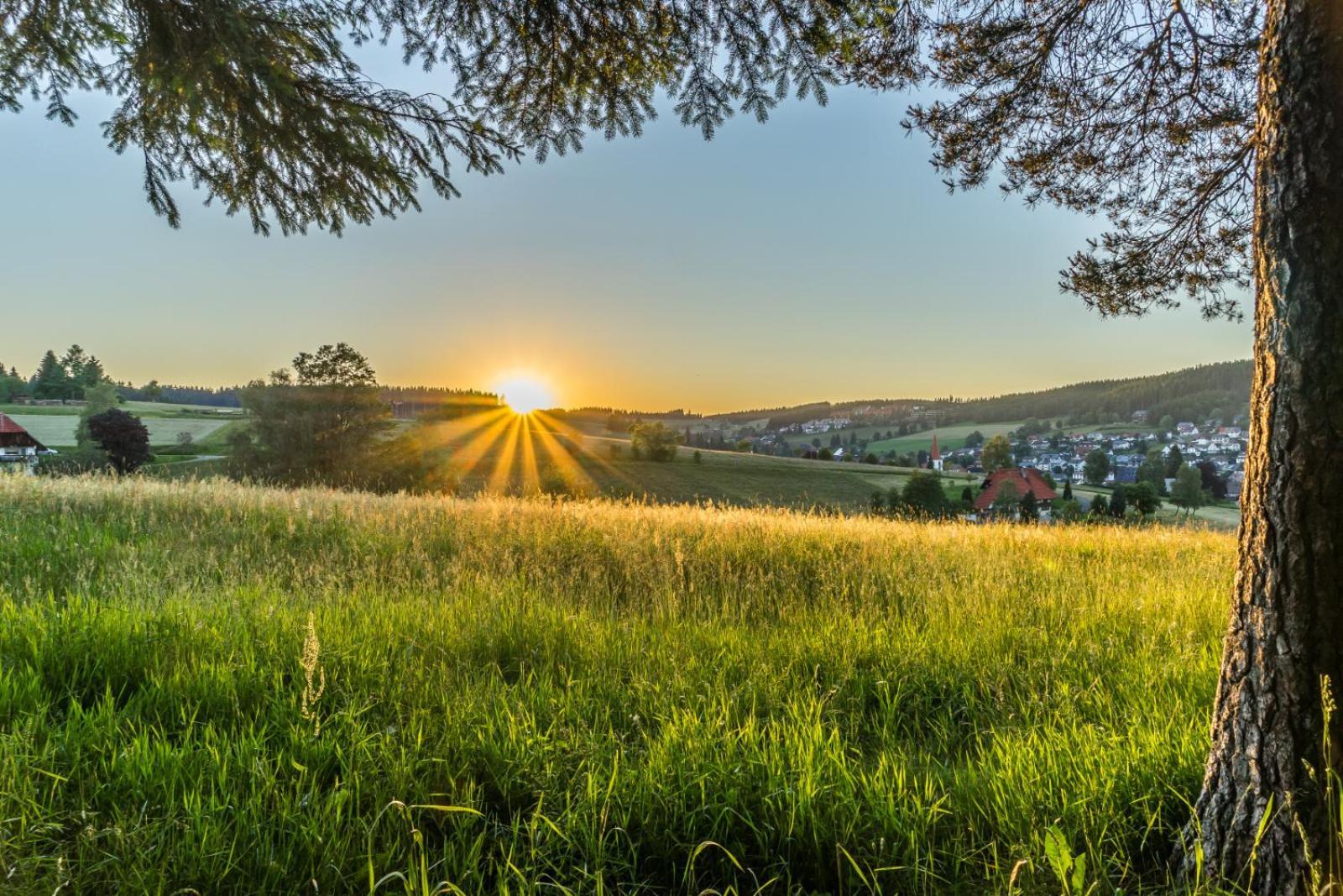 Landhaus Panoramablick Schonach im Schwarzwald Exteriér fotografie