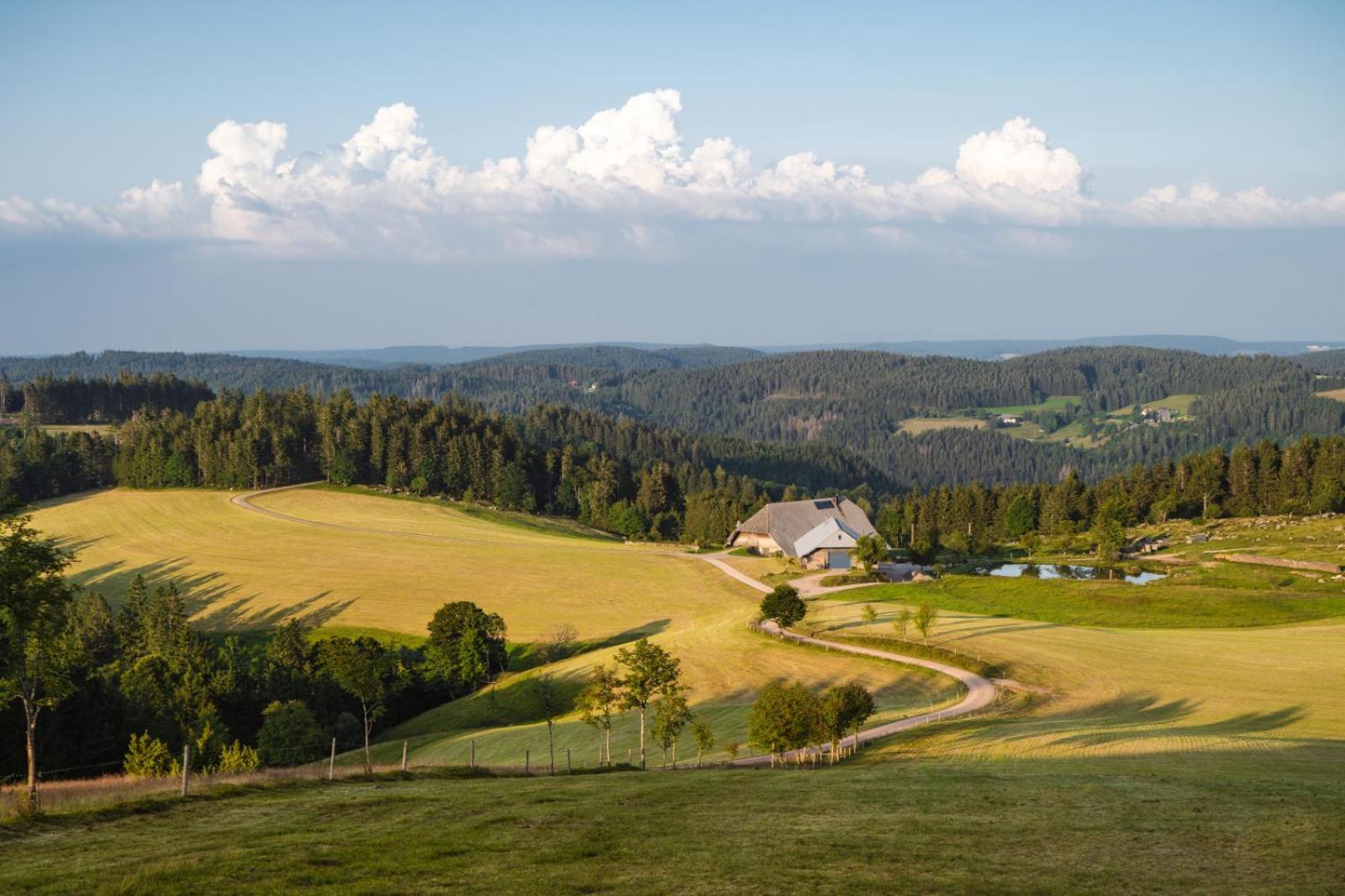 Landhaus Panoramablick Schonach im Schwarzwald Exteriér fotografie