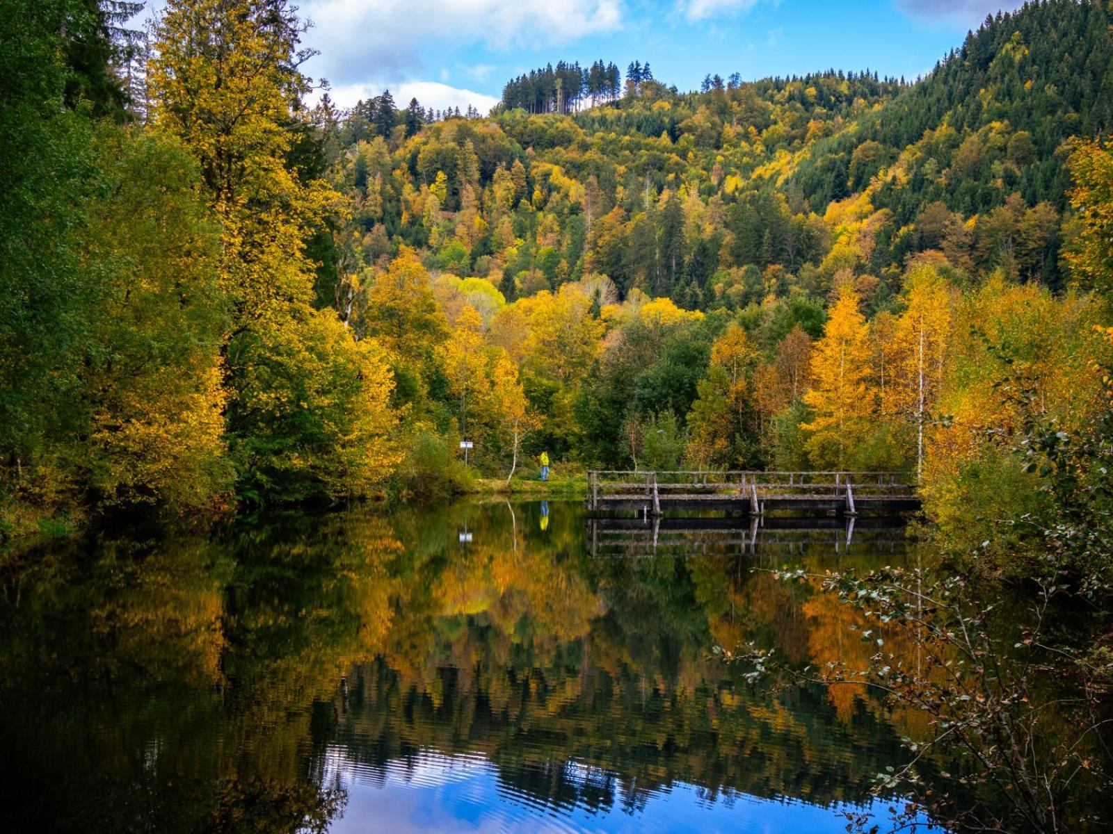 Landhaus Panoramablick Schonach im Schwarzwald Exteriér fotografie