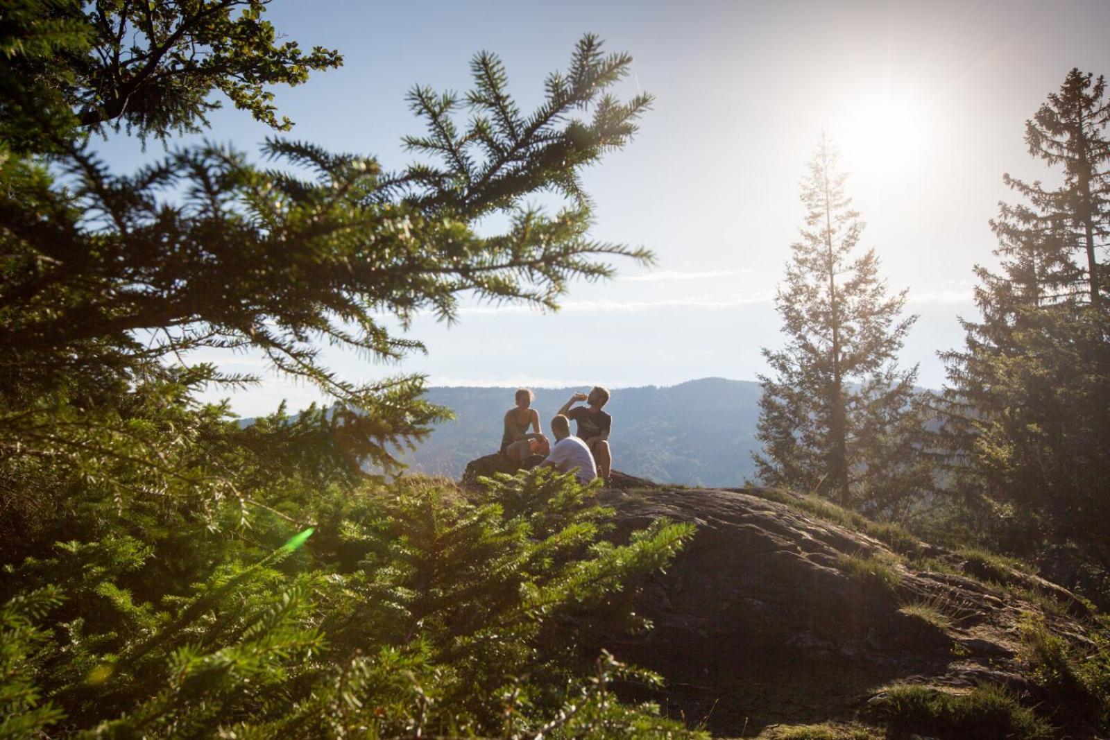 Landhaus Panoramablick Schonach im Schwarzwald Exteriér fotografie